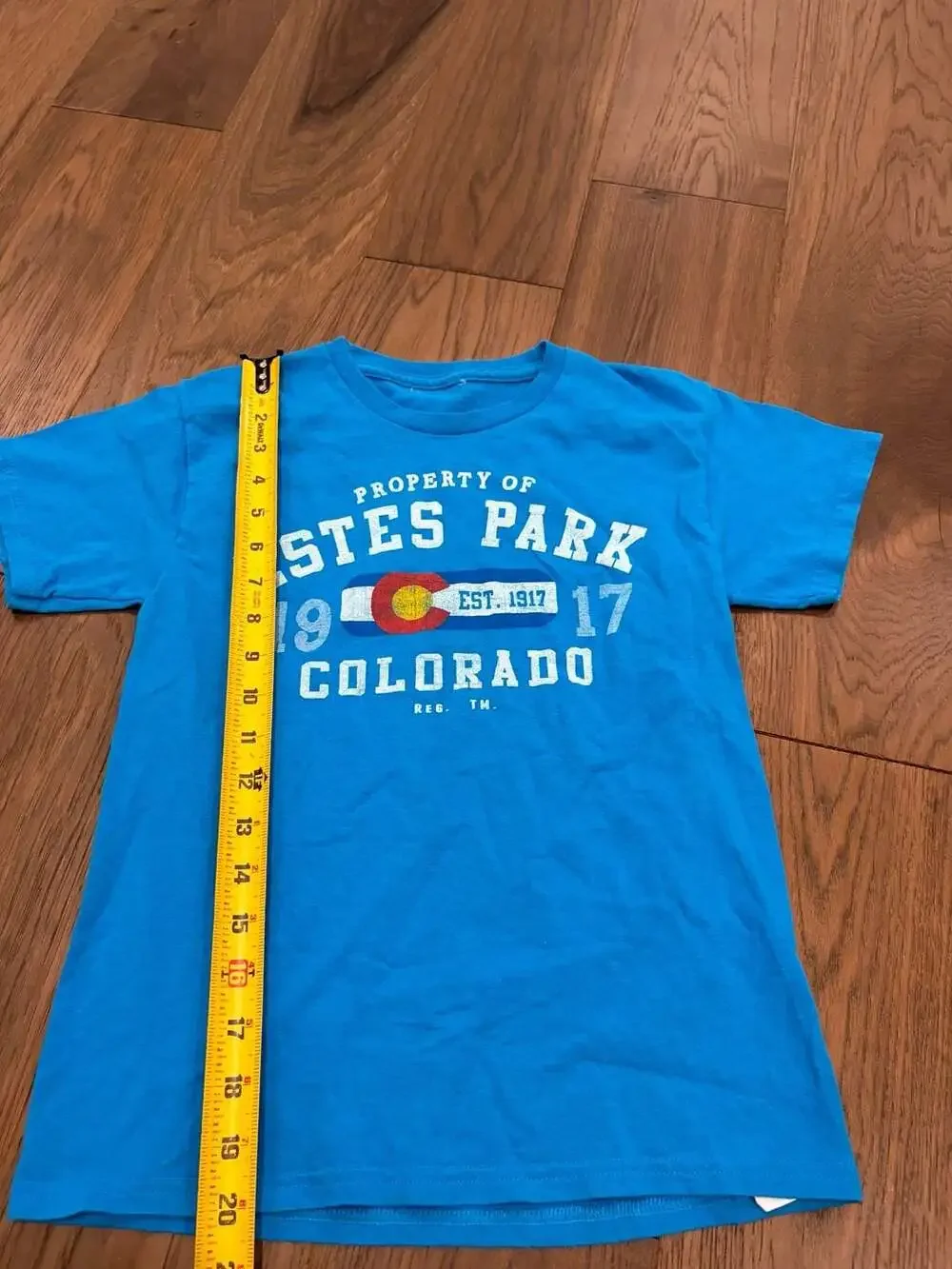 Estes Park Colorado Souvenir Graphic T-Shirt Blue